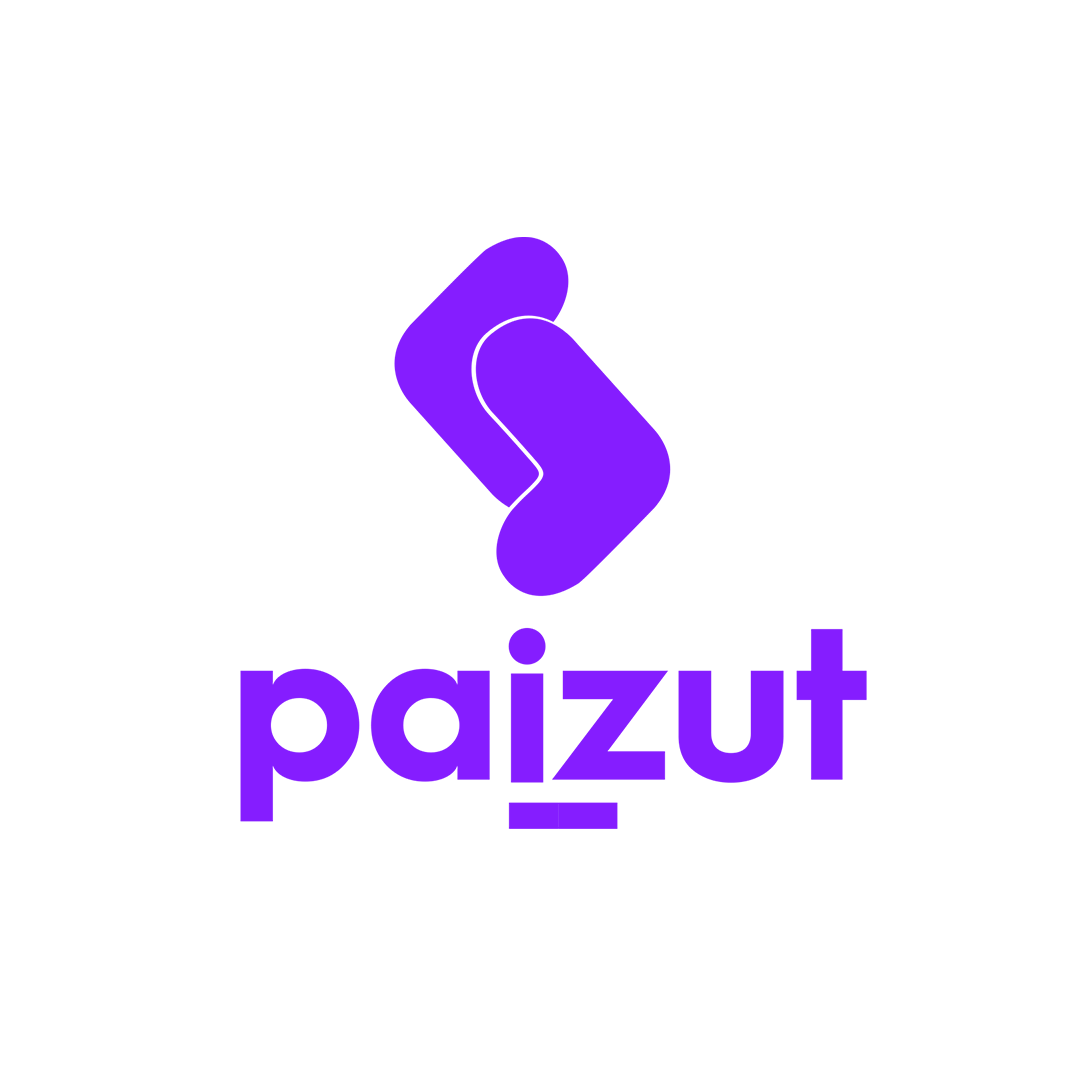 Paizut : Brand Short Description Type Here.